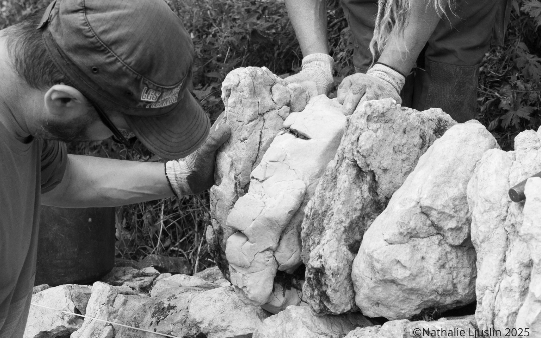 Envie de sillonner les Sentiers des savoirs ? Les inscriptions sont ouvertes !