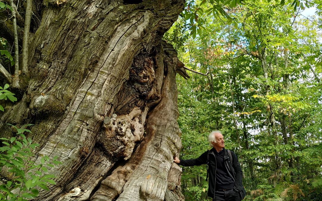 Prochaine rencontre avec Ernst Zürcher et l’équipe des Sentiers des savoirs