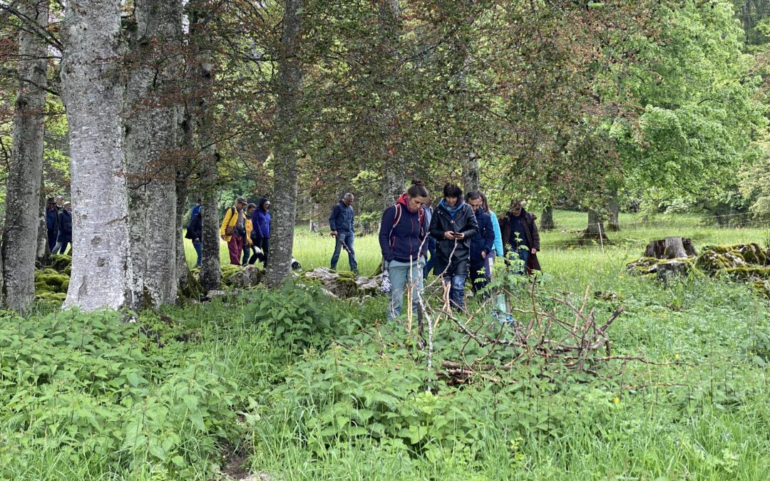 Une journée entre nature, savoir-faire et partage